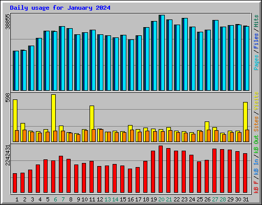 Daily usage for January 2024