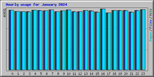 Hourly usage for January 2024