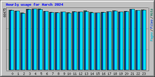 Hourly usage for March 2024