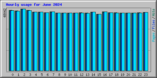 Hourly usage for June 2024