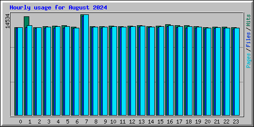 Hourly usage for August 2024