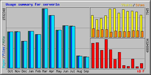 Usage summary for server1n